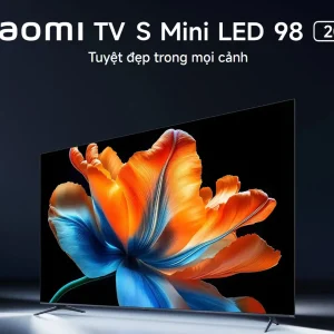 Nồi nấu cháo chậm 2.5l Bear DDZ-C25R6